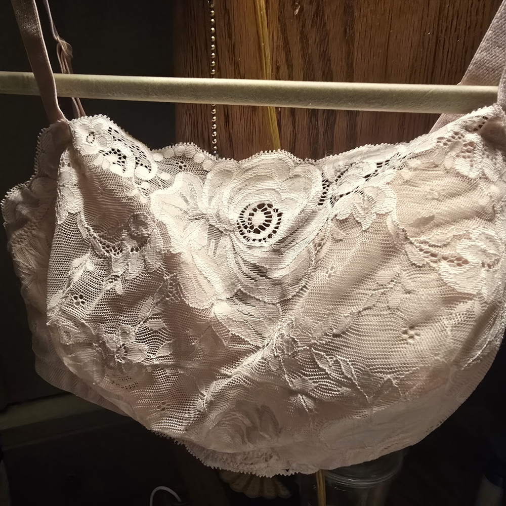 Lace Cami Bralette in Soft Pink 36D